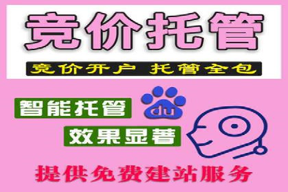 某某SEM公司助力企业快速发展的成功故事